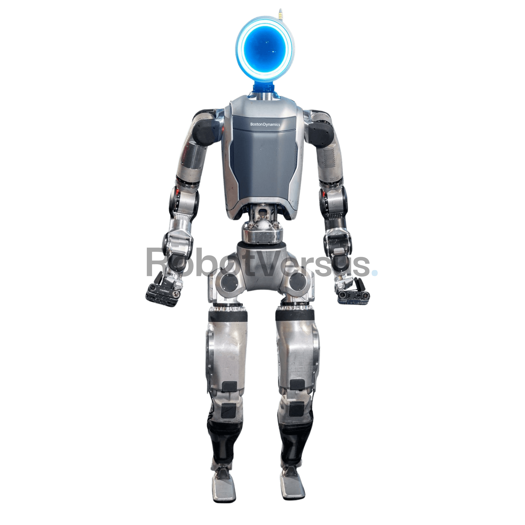 Atlas