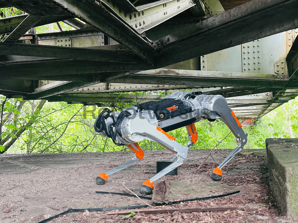 Honey Badger 4.0
