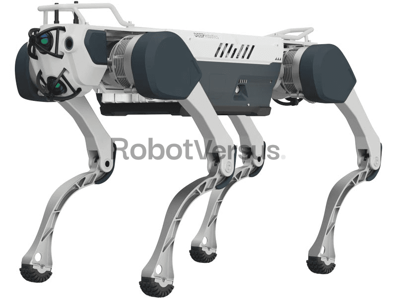 DEEP Robotics X30
